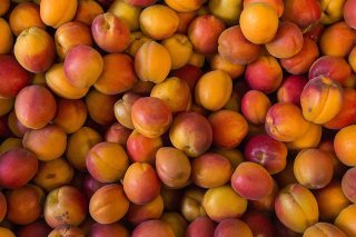 "En moyenne annuelle, le Valais produit 8200 tonnes d'abricots. Cette année, il n'y en aura que 1300 tonnes", selon l'Interprofession des fruits et légumes du canton, particulièrement touché par le gel en avril (archives).